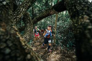 BIB: 
                            <button type="button" onclick="openModal(25392185)" class="btn btn-primary btn-sm float-right btn-popup" data-toggle="modal" data-target=".modal-high-quality">
                        <i class="fas fa-shopping-cart"></i> Add to Cart
                    </button>
                                            <button type="button" onclick="isThisMe(25392185, true)" class="btn btn-success btn-sm float-right btn-popup btn-isme hidden" data-toggle="tooltip" data-placement="bottom" title="นี่คือรูปของคุณใช่ไหม คลิกที่นี่เพื่อเอาเข้าอัลบั้ม">
                        <i class="fas fa-plus"></i> Add to album
                    </button>
                    <button type="button" onclick="isThisMe(25392185, false)" class="btn btn-warning btn-sm float-right btn-popup btn-isnotme hidden">
                        <i class="fas fa-ban"></i> Remove from album
                    </button>